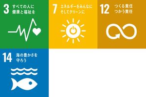 SDGs